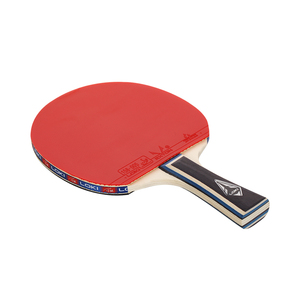 Raquettes <span class=keywords><strong>de</strong></span> <span class=keywords><strong>ping</strong></span>-<span class=keywords><strong>pong</strong></span> LOKI C1000 en stock, ensembles <span class=keywords><strong>de</strong></span> raquettes <span class=keywords><strong>de</strong></span> tennis <span class=keywords><strong>de</strong></span> table pas chers avec sac <span class=keywords><strong>de</strong></span> transport - Product Image 5
