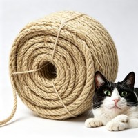 Rechange de griffoir en corde de sisal naturelle pour arbre à chat, pour chats d'intérieur