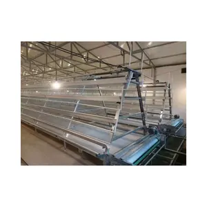 Automatic cage for chicken poultry cage poultry equipment for sale