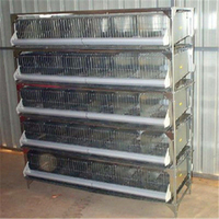 La production de masse et les ventes de haute qualité A et H type couche de caille cage prix le plus bas
