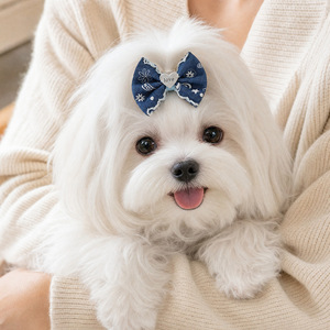 Fournitures pour animaux de compagnie, chiots de petite taille, animaux mignons, photos de style urbain, dessin animé, adorable, denim, nœud, pinces BB, accessoires, cheveux - Product Image 5