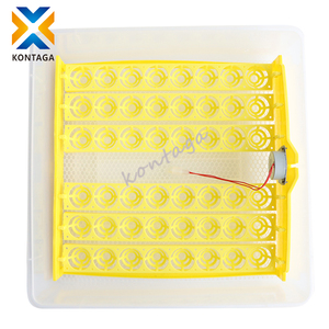 Nhà cung cấp Trung Quốc nóng bán được trang bị gà hoặc chim cút khay trứng lồng ấp cho gà con - Product Image 5