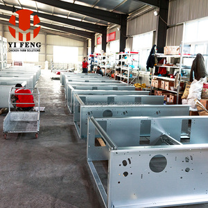 H tipi kapalı kümes hayvancılığı ev yumurta döşeme kuşlar için komple otomatik pil tavuk kafesi sistemi - Product Image 4