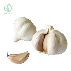 Aglio fornitore dalla cina/AJO ALHO Ail - Product Image 2