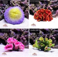 OG-219 Vente en gros de corail artificiel en résine non toxique, ornement pour aquarium, cachette pour poissons marins, décoration de paysage marin
