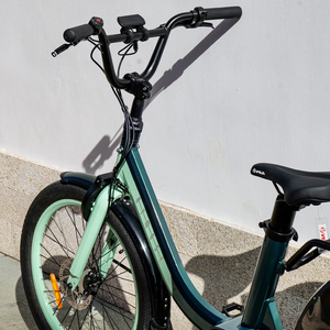 Bicicleta Eléctrica Urbana Económica de 24 Pulgadas, 250W, Batería de Litio de 15AH, Motor sin Escobillas, con Asistencia al Pedaleo, Pundarika, Precio Económico - Product Image 5