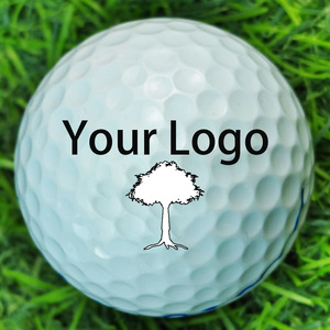 Balles <span class=keywords><strong>de</strong></span> <span class=keywords><strong>golf</strong></span> personnalisées avec logo, <span class=keywords><strong>prix</strong></span> d'usine OEM - Balles <span class=keywords><strong>de</strong></span> <span class=keywords><strong>golf</strong></span> <span class=keywords><strong>de</strong></span> tournoi 2 pièces avec revêtement Surlyn - Product Image 4