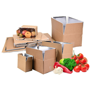 Hộp cách nhiệt thực phẩm đông lạnh Nhiệt Lót hộp với nước đá cho lạnh chuỗi - Product Image 4