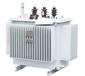 Elektrische Elektriciteit Distributie Transformator 100kva Drie Fase Transformator S11 Olie-Ondergedompelde Transformator Vermogen Toroïdale 50/60Hz