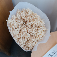 Hot Selling Gedroogde Bloem Natuurlijke Gypsophila Bewaarde Baby 'S Adem Voor Bruiloft Huis Boeket Decoratie