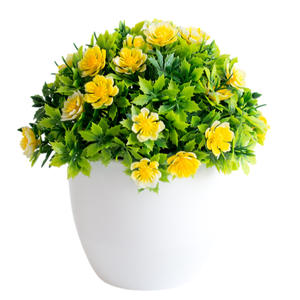 DREA plantas y flores <span class=keywords><strong>de</strong></span> simulación nórdica, decoración del hogar en maceta <span class=keywords><strong>de</strong></span> plástico, decoración <span class=keywords><strong>de</strong></span> escritorio, bonsái <span class=keywords><strong>de</strong></span> flores artificiales - Product Image 5