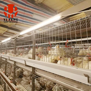 Nouvelle cage volante de chaudière de couche de Type H de Offre Spéciale pour la ferme commerciale de poulet galvanisée plongée à chaud économisent l'espace ISO 9001 certifiée - Product Image 1