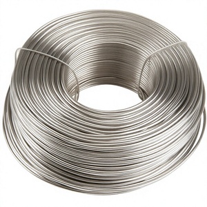 Bobina de Alambre de Acero RSD Global de 2 mm de Diámetro, 500 Metros, Color Plateado, Grado de Construcción Resistente, Acero Inoxidable 316, Estándar AiSi - Product Image 2