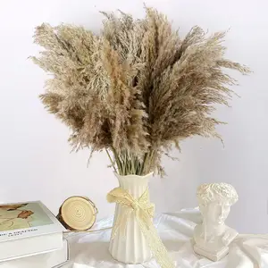 2023 Hot Sell Natural Real Small Large Pampa Grass Natural Dried Decor Pampas Grass Dried Reed For Home And Office Decoration