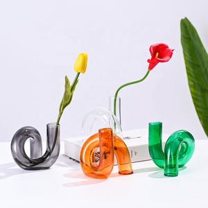 Vase en verre torsadé transparent de petite taille, 8 couleurs, design moderne, ornements de bureau, décoration florale, vase de table, vente chaude - Product Image 3