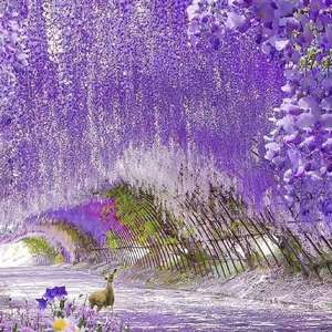 Guirlande de glycine artificielle suspendue, fleurs artificielles en soie, glycine blanche artificielle pour la maison et les mariages - Product Image 2