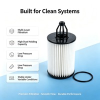 Nouvel élément de filtre à huile YS A2761800009 pour moteur M276, pièces de rechange pour véhicules W205 W222 X253