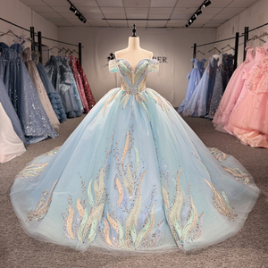 Dy8534 Blue Ball Gown Quinceanera Dress Sweep Train Modern Embroidery Lace Natural Solid For Teenagers Jancember - Product Image 2