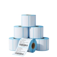 Etiqueta Adhesiva Impermeable para Impresora Portátil de Escritorio, Rollo de Etiquetas de Transferencia Térmica para Códigos de Barras, Directo de Fábrica