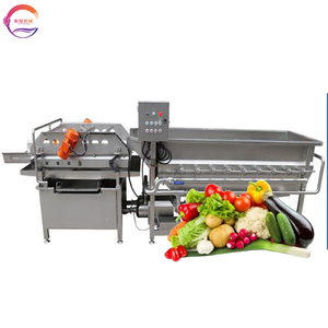 Automatic Fresh Green Vegetable Cleaner Salad Washer Vegetable Washing Machine for Coriander Celery Spinach