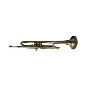 <span class=keywords><strong>Trompeta</strong></span> Profesional SEASOUND Tono Si Bemol Estilo Vintage OEM Cuerpo de Latón Dorado con Llaves Duraderas JYTR409DVGGL - Product Image 6