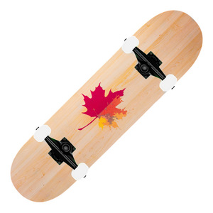 Battery powered skateboards for sale Clearance