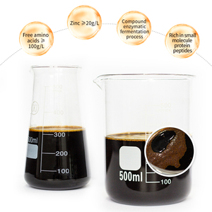 โรงงานผู้ผลิตปุ๋ยอินทรีย์แบบ<span class=keywords><strong>น้ำ</strong></span>สำหรับฉีดพ่นทางใบด้วยกระบวนการไฮโดรไลซิสเอนไซม์ชีวภาพ - Product Image 3