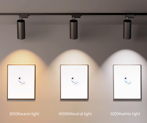 COSMOLED批发30w发光二极管白色/黑色大头钉灯具灵活可旋转聚光灯重点照明购物大厅CE/ROHS - Product Image 6