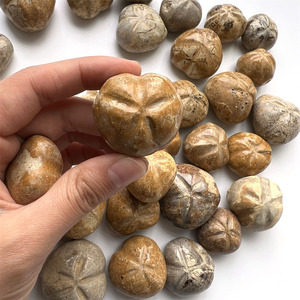 Tinh thể tự nhiên khắc mảnh han Madagascar Vỏ Đá mẫu vật kích thước nhỏ đá nhím biển - Product Image 6