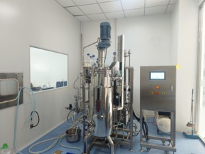 EU Padrão 100L Aço Inoxidável Mecanicamente Agitando Bioreactor BLBIO 100SJA Fermentação Biológica Equipamento tanque - Product Image 3
