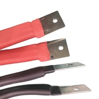 Fil de cuivre industriel plat torsadé en silicone rouge 6 AWG 1000V CC résistant aux hautes températures pour stockage d'énergie photovoltaïque