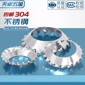 Tianzhuo Hardware 304 Stainless Steel Conical Toothed Locking Washer M3 M4 M5 M6 M8 M10 External Toothed Funnel Type - Product Image 4