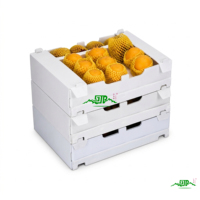 Eco-vriendelijke, hoge-dichtheid polypropyleen verpakkingen voor groenten en fruit, aanpasbare maat & dikte, antistatisch en waterdicht.