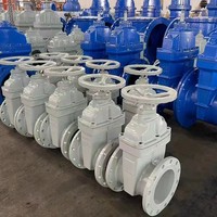 Vanne à opercule manuelle en fonte ductile à joint souple et à ressort, de qualité supérieure, pour le traitement de l'eau, pression 1.0-1.6Mpa, taille DN50-DN2000