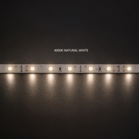 Bande LED flexible NEXcell 2835 12V DC 8mm CRI90 découpable pour éclairage intérieur, rouleau de 5m