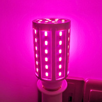 Ampoule de maïs LED jaune doré 2000K 60W 120V 240V E27 Lampe de maïs orange