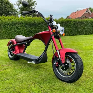 EU lager CE/EWG/COC Zertifikat 60V 20AH Lithium-Batterie 2000W Motor Elektrische Roller erwachsene Citycoco große elektrische motorrad