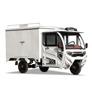 Véhicule express entièrement fermé tricycle électrique véhicule de transport de marchandises petit camion de livraison tricycle pour adultes