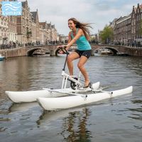 Bouée gonflable ronde en forme de banane, pédalo aquatique pour une personne, cadre en aluminium, haute stabilité pour parc aquatique, de Chine, Lumark Custom