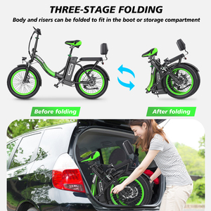 Entrega Rápida en Europa, Reino Unido y Estados Unidos, Bicicleta Eléctrica Plegable Hidoes C1 de 48v 750w con Batería Extraíble, Motor Central Potente, Hd-c1 Bat - Product Image 3