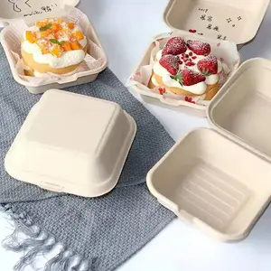 Composteerbaar Servies Wegwerp Biologisch Afbreekbaar Servies Suikerriet Bagasse Clamshell Voedselcontainer