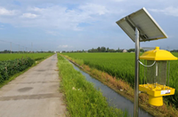 Lámpara LED Solar Seedafarm para Control de Plagas Agrícolas con Luz Negra para Huertos y Estanques de Peces