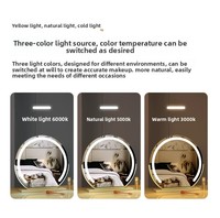 Miroir de maquillage rond avec écran LED intelligent, lumière de vanité de bureau, métal et verre, design personnalisé, marque personnalisée