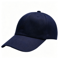 Casquettes de baseball en coton brodées motif léopard, style Dobby, pour le sport, la rue, les affaires et les occasions formelles, vente en gros usine
