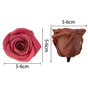 ดอกกุหลาบคงรูปขนาด 5-6 ซม. สำหรับตกแต่ง - Product Image 2