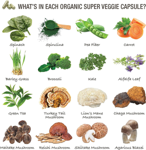 AOGUBIO suplemen alami bubuk Brahmi alami murni bubuk <span class=keywords><strong>Bacopa</strong></span> <span class=keywords><strong>Monnieri</strong></span> - Product Image 4