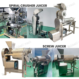 Fragola albicocca Avocado ananas Cactus Soursop 2020 pressa a freddo industriale manuale estrattore di succhi di frutta - Product Image 5