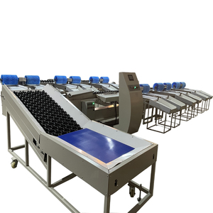Ventes directes usine : Machine de lavage, cirage et calibrage pour mangues et oranges, Machine de tri de pommes de terre - Product Image 3