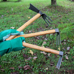 Outils de jardinage et d'aménagement paysager : Petite <span class=keywords><strong>houe</strong></span> de désherbage tout acier, pioche de plantation de fleurs pour l'extérieur, râteau domestique pour légumes - Product Image 3