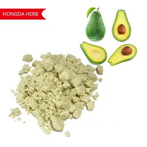 Hongda Strong Smell Of Natural Avocado Fruit Powder Beverage Supplement Avocado Powder